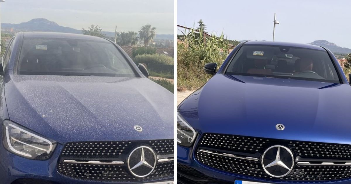 Servicio profesional de lavado de coches a mano en taller de Torrejón de Ardoz